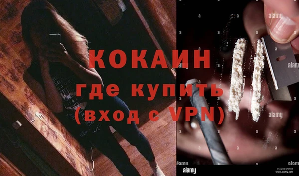 мдпв Снежинск
