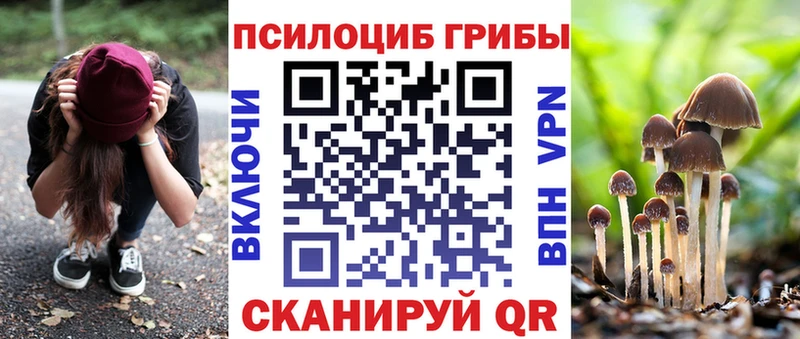 Галлюциногенные грибы GOLDEN TEACHER  кракен ссылки  Железногорск-Илимский 